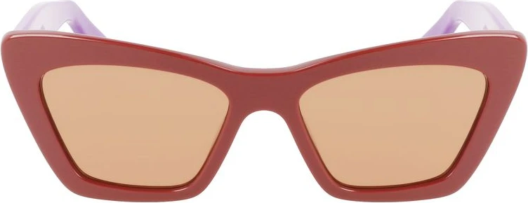 Солнцезащитные очки из ацетата Ferragamo