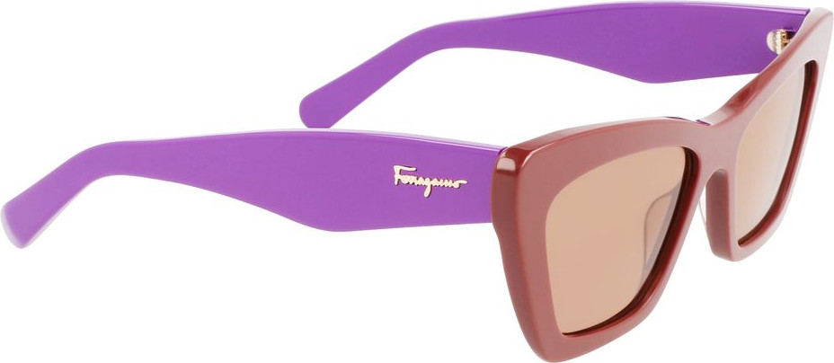 Солнцезащитные очки из ацетата Ferragamo