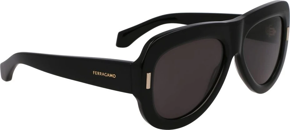Sunglasses Ferragamo Black Acetate Sunglasses