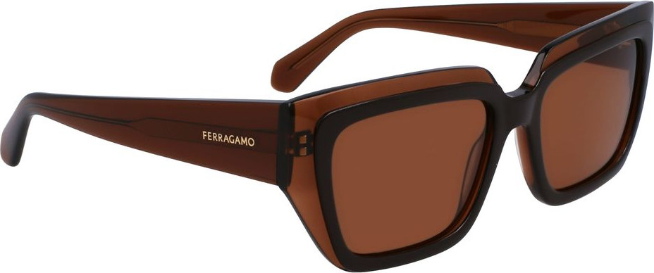 Солнцезащитные очки Ferragamo