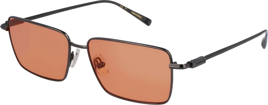 Солнцезащитные очки Ferragamo SF309S5715017 Серый Металл