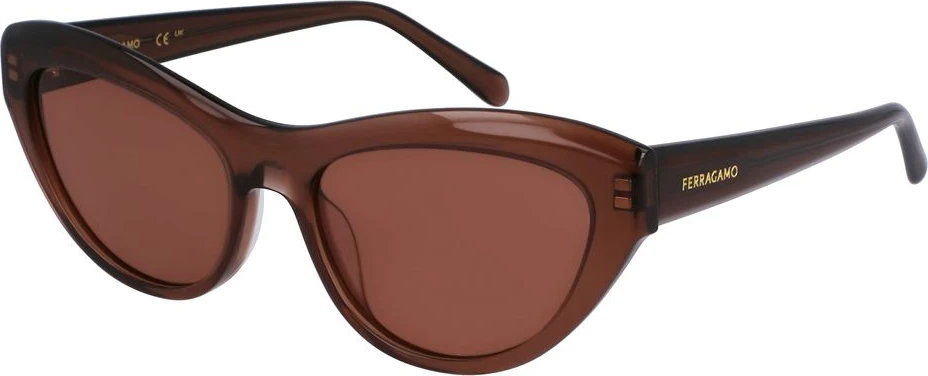 Солнцезащитные очки Ferragamo