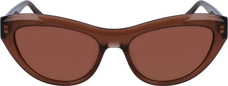 Солнцезащитные очки Ferragamo