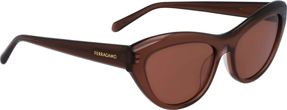 Солнцезащитные очки Ferragamo