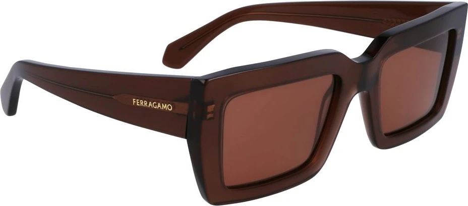 Солнцезащитные очки Ferragamo из коричневого ацетата