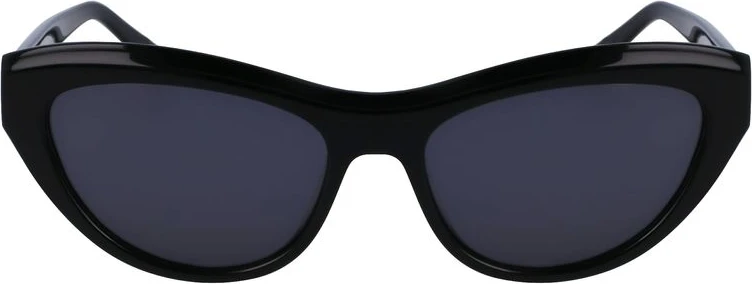 Солнцезащитные очки Ferragamo