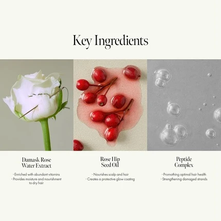 Ампульное средство для волос Anillo Rosy Night Repair