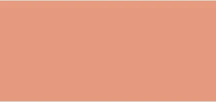 Основа сменная Shiseido