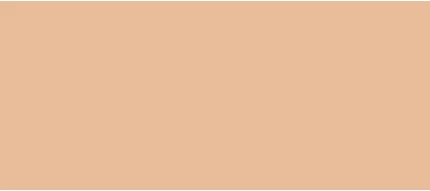 Тональная основа Guerlain Terracotta Joli Teint