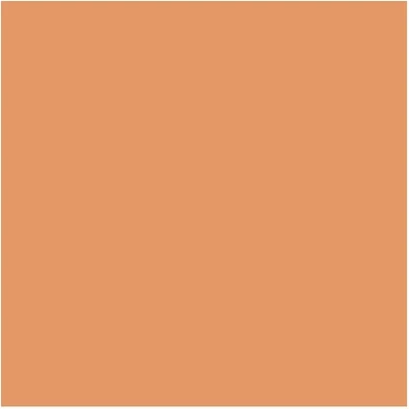 Пудра-основа Shiseido Synchro Skin Self-Refreshing Custom Finish Powder Foundation