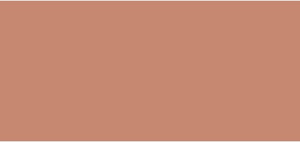 Запасная часть Пудры для загара Guerlain Terracotta