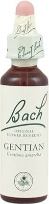 Туалетная вода Schwabe Pharma Gentian Bach Original