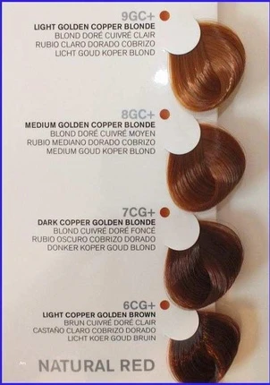Краска для волос Joico Age Defy