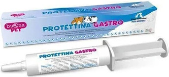 Buona Protettina Гастро Паста в Шприце