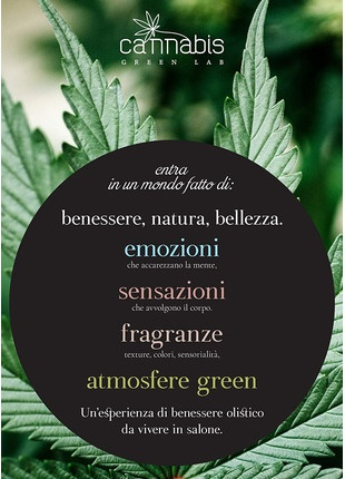 Oyster Perpetual Cannabis Green Lab Illumina-Therapy Oil
