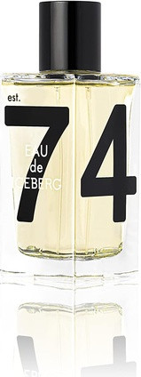 Туалетная вода Iceberg Iceberg Homme