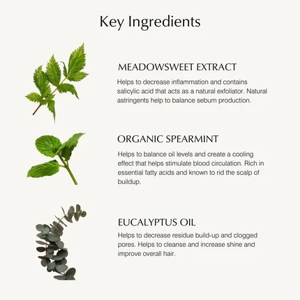Шампунь John Masters Organics