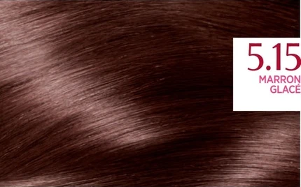 Стойкая крем-краска для волос L'Oreal Professional Excellence 5.15 Каштановый глясе