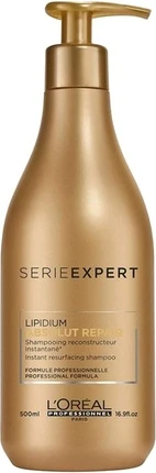 Шампунь L'Oreal Professional Absolut Shampoo