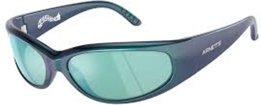Blue Resin Sunglasses Arnette