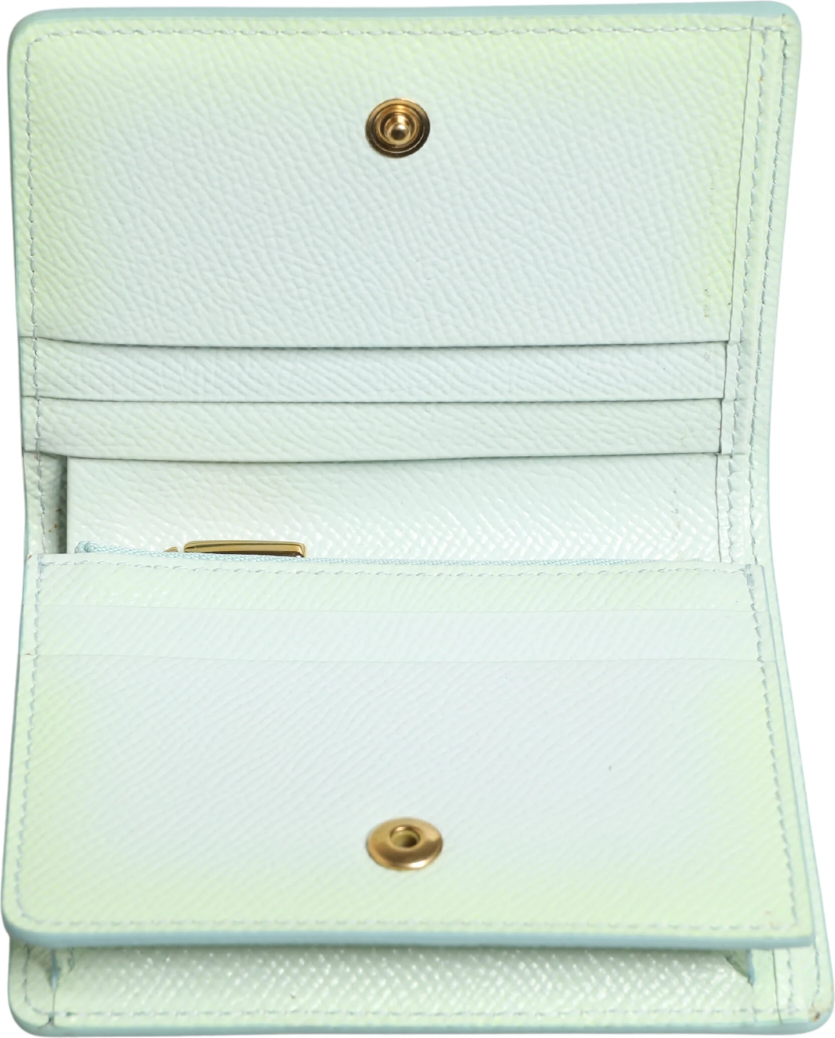 Континентальный кошелек Green Floral Print Leather Wallet Dolce & Gabbana