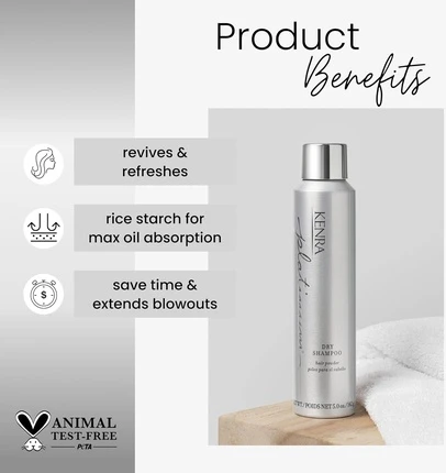 Сухой шампунь Kenra Platinum Oil Absorbing Spray