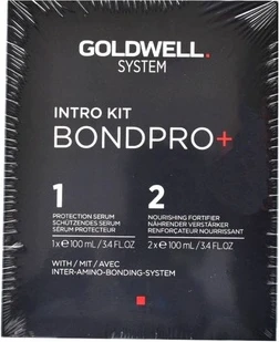 Goldwell Bondpro Intro Kit