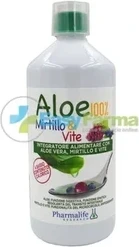 Алоэ 100 Черника и Вино от Pharmalife Research