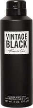 Дезодорант-спрей Kenneth Cole Vintage Black