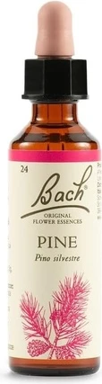 Perfume Pine Bach Original