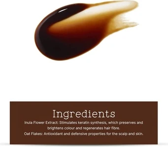 Временный гель-краска для волос Темно-коричневый Christophe Robin
