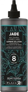 Кондиционер Black Professional Line