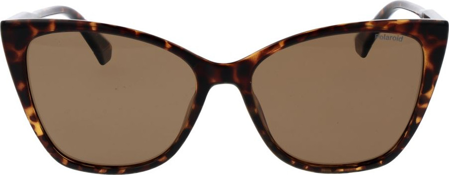 Солнцезащитные очки Polaroid Brown