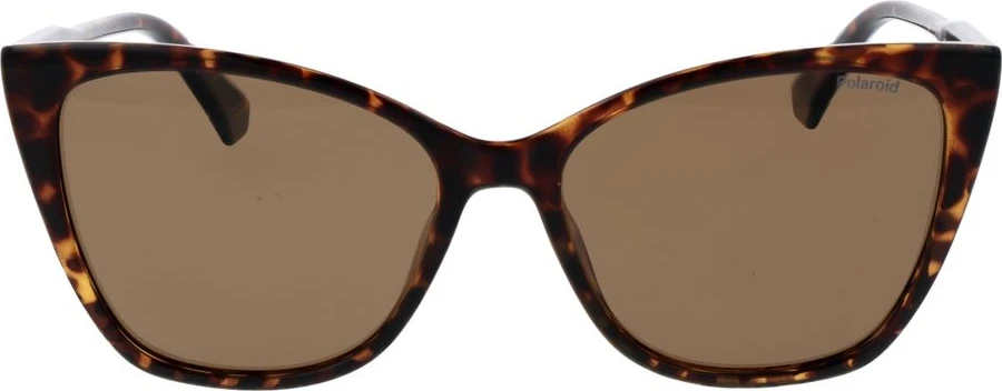 Солнцезащитные очки Polaroid Brown