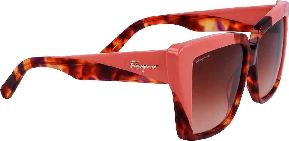 Acetate Sunglasses Ferragamo