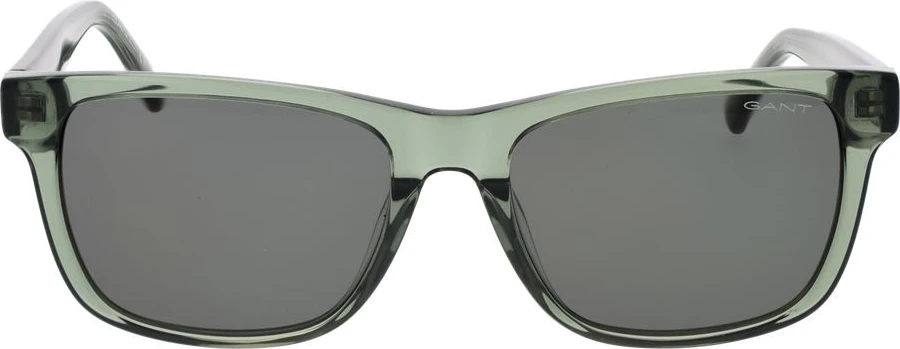 Солнцезащитные очки Gant Bicolor Acetate