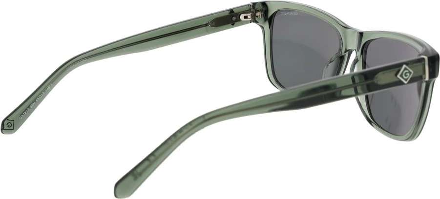 Солнцезащитные очки Gant Bicolor Acetate
