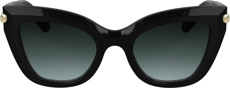 Солнцезащитные очки Longchamp Acetate