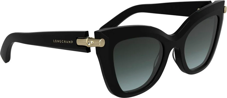 Солнцезащитные очки Longchamp Acetate
