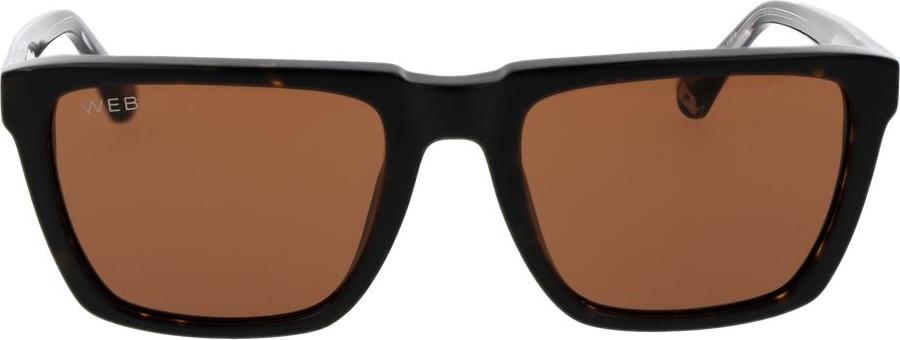 Солнцезащитные очки WEB Acetate