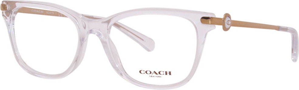 Очки Coach HC6176