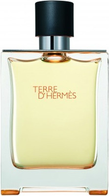 Hermes Terre D'Hermes Eau de Toilette Spray