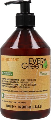 Шампунь Dikson Every Green Anti Oxidant