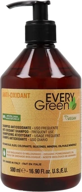 Шампунь Dikson Every Green Anti Oxidant