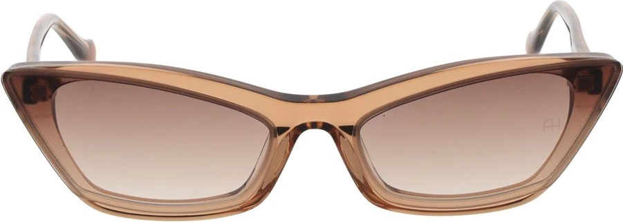 Солнцезащитные очки Ana Hickmann Brown Acetate