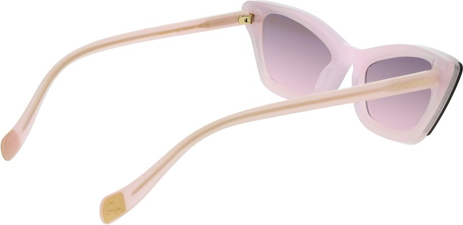 Acetate Sunglasses Ana Hickmann