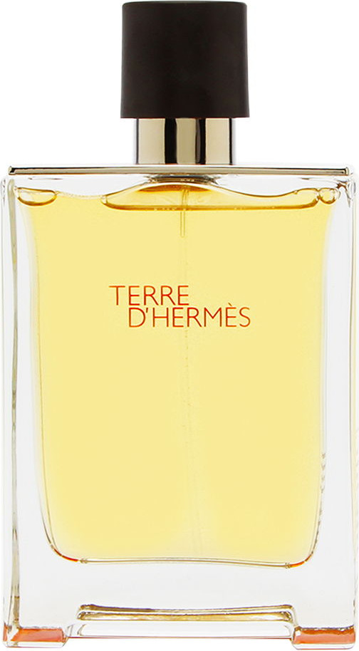 Terre D'Hermes Eau de Toilette Hermes