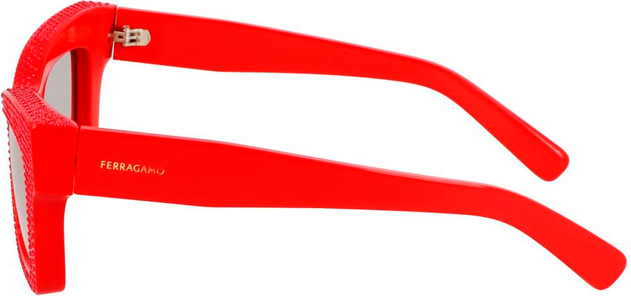 Солнцезащитные очки Ferragamo Multicolor Acetate Sunglasses