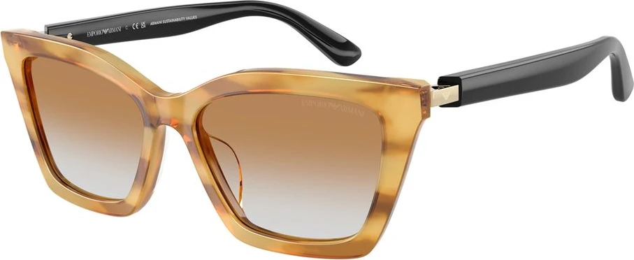 Солнцезащитные очки Armani Emporio Bicolor Acetate