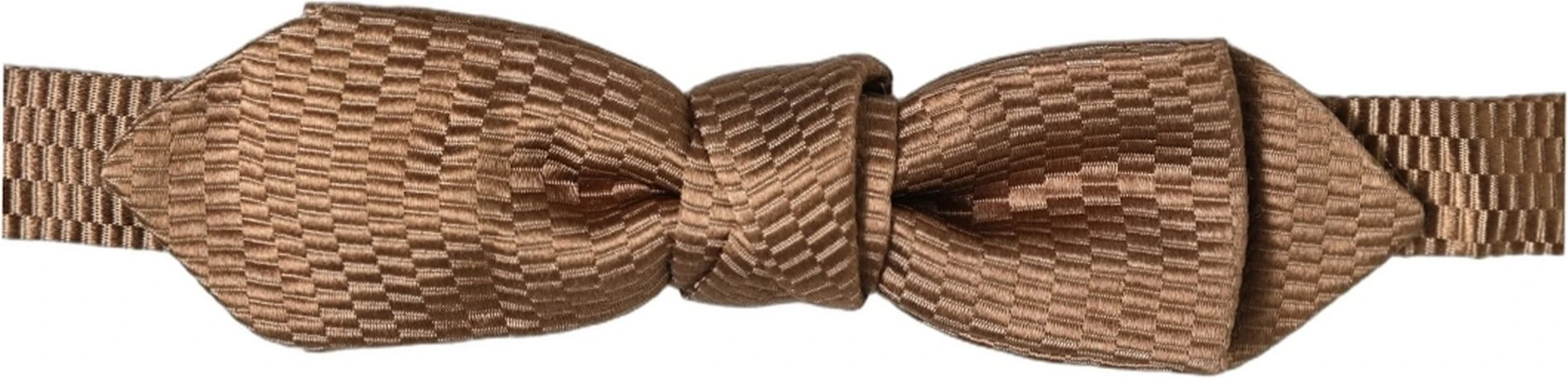 Бабочка Dolce & Gabbana